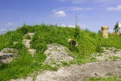 FotovanDana-Aventuur Buiten-2.jpg